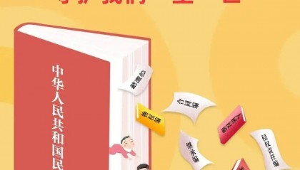 巾帼普法｜ 一起学习民法典