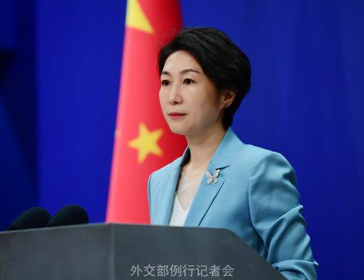 许智峰获得澳大利亚政治庇护，外交部：敦促有关国家停止干涉中国内政