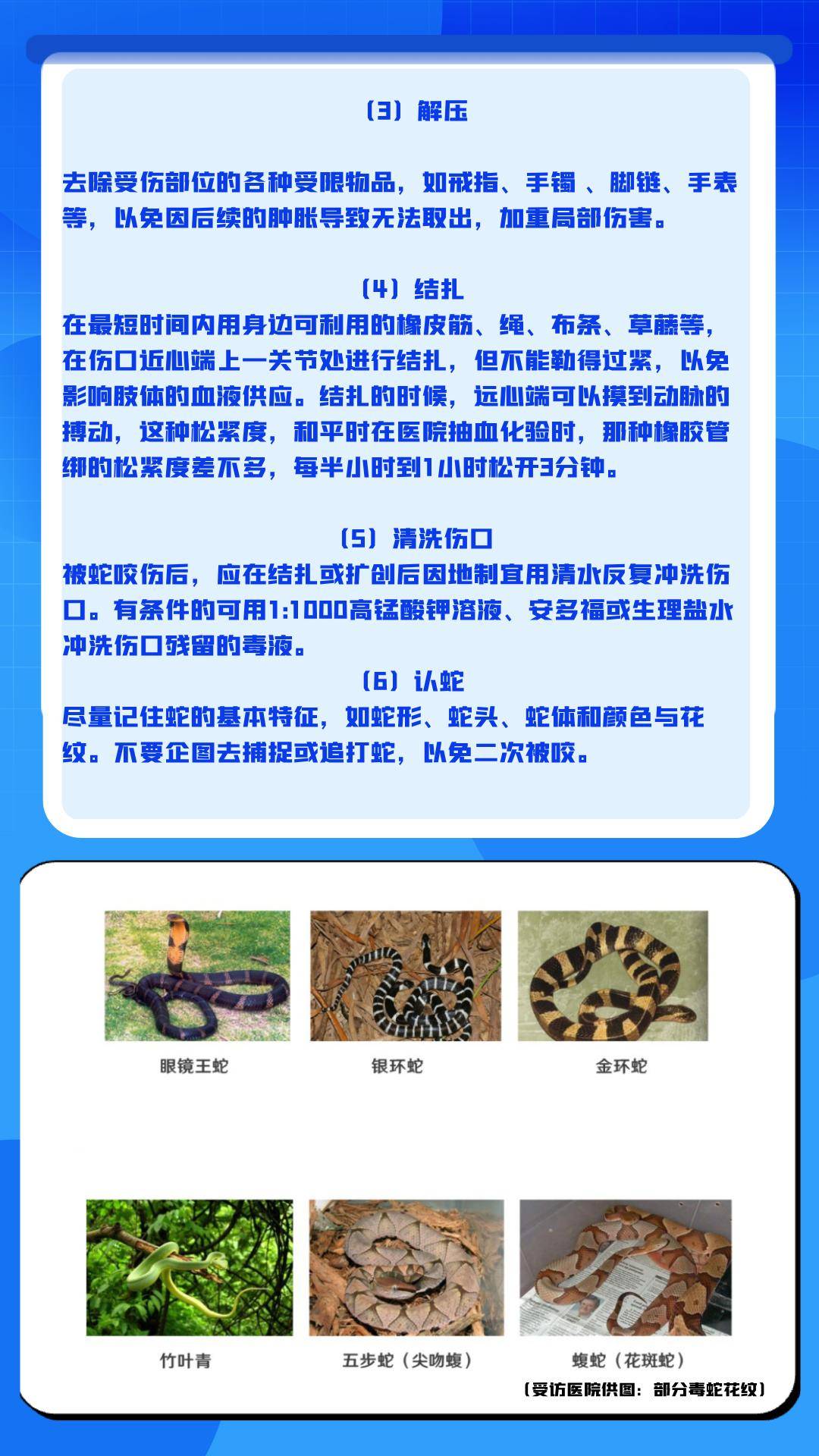 每天捕蛇十七八个小时！广西横州捕蛇者：抓了两千多斤