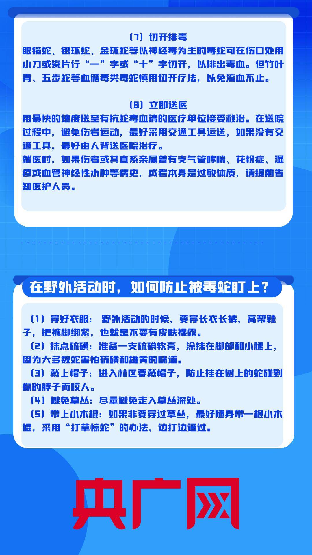 每天捕蛇十七八个小时！广西横州捕蛇者：抓了两千多斤