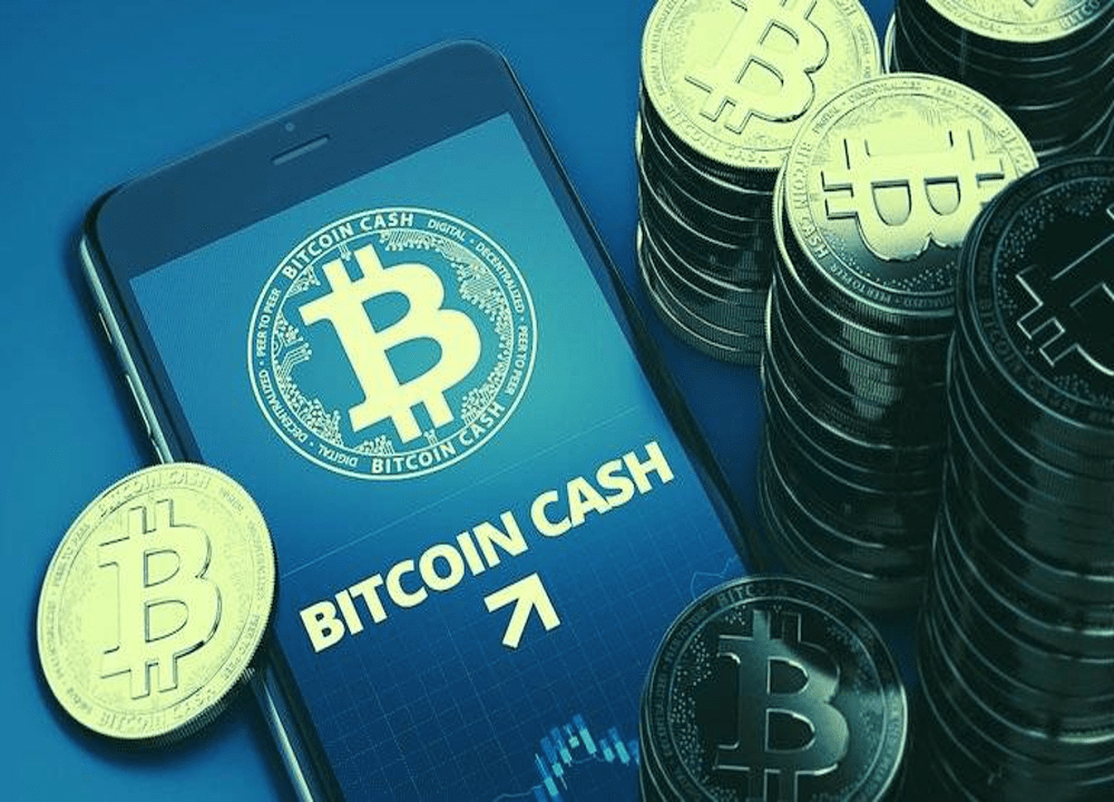 BCH-比特现金交易所投资的简单介绍